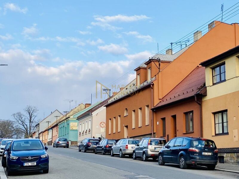 Pronájem bytu 1+1 se zahradou, 40 m2, Hřbitovní, Nový Jičín